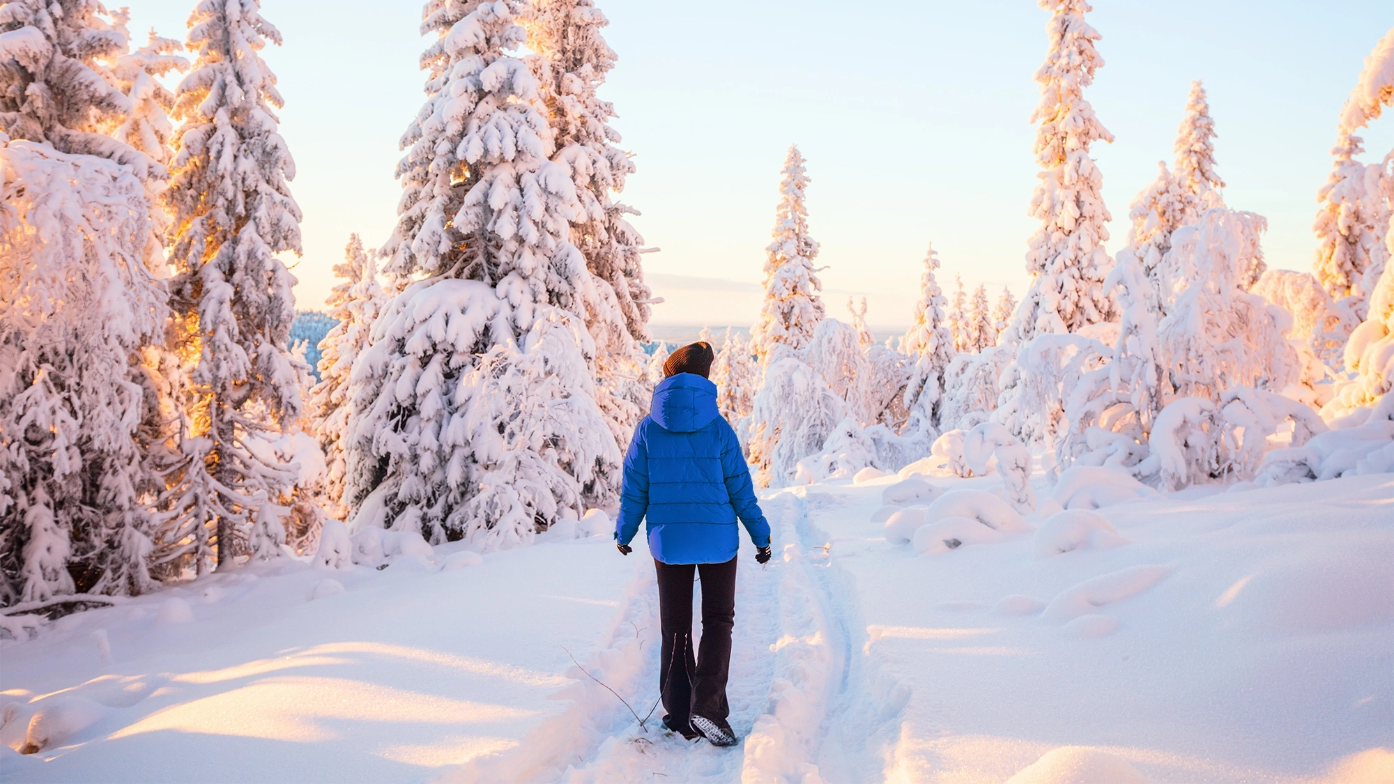 snow_winterwonderland