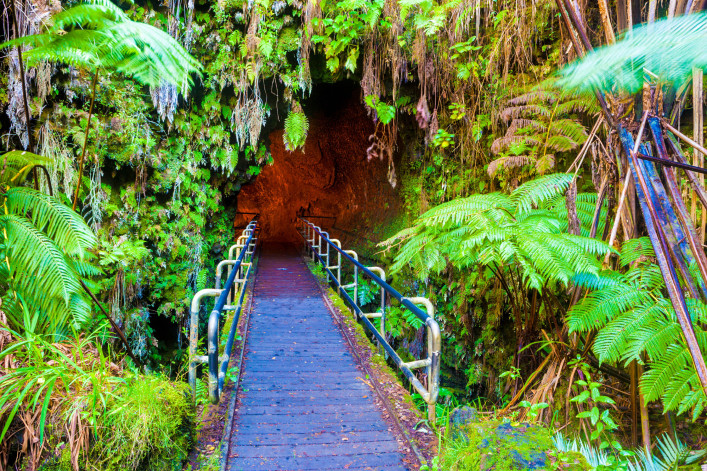 Hawaii Landschaft Dschungel