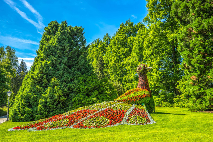 Mainau Blumeninsel Bodensee