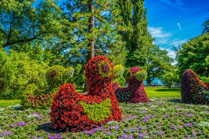 Mainau Blumeninsel Bodensee