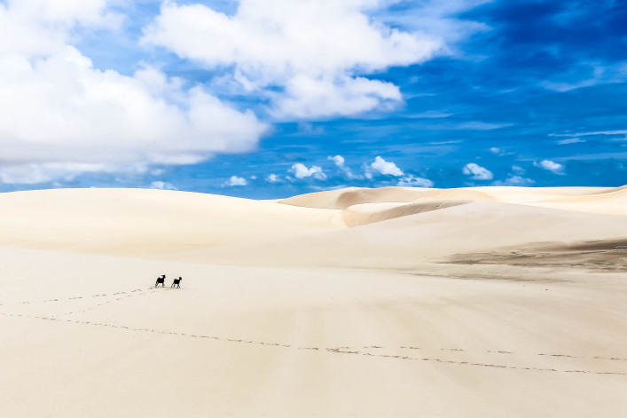 Lencois Maranhenses National Park