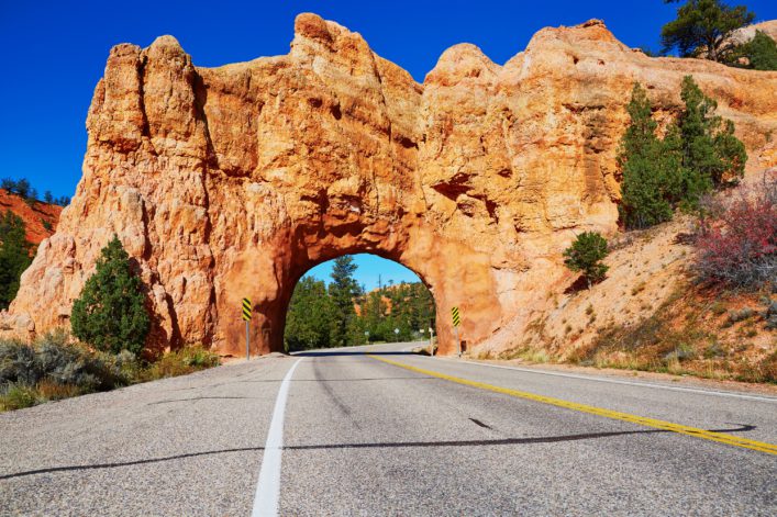 shutterstock_516973969