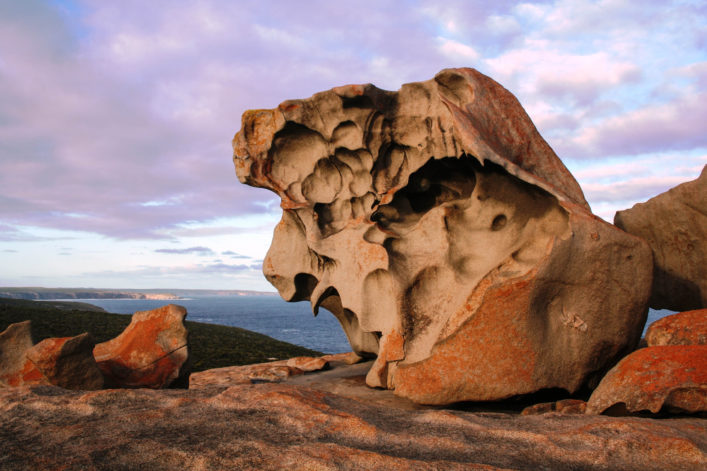 Australien Roadtrip Kangaroo Island
