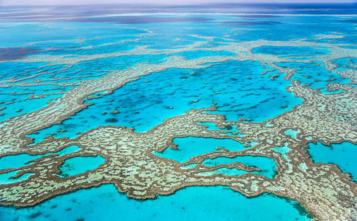 Australien Roadtrip Great Barrier Reef