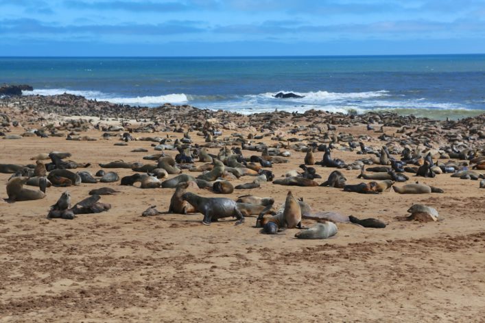 shutterstock_399605893