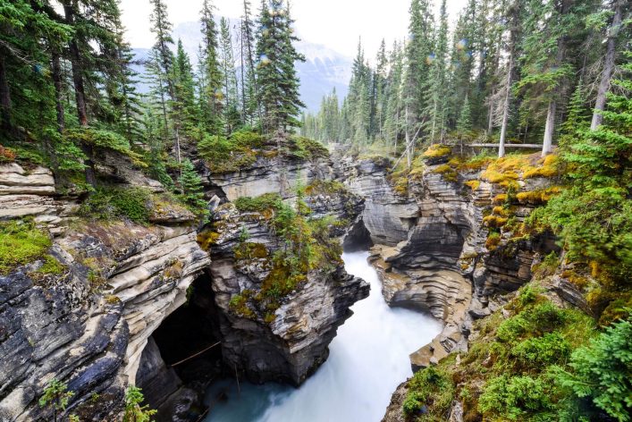 Die Athabasca Falls in Kanada