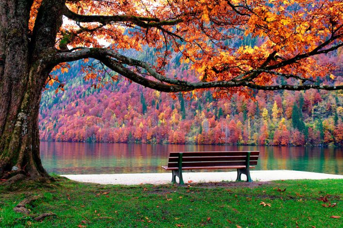 Indian Summer am Königssee in Bayern