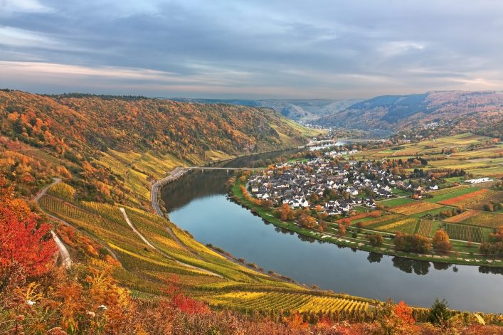 Herbst an der Mosel