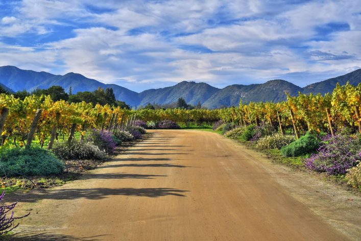 Die Emiliana Vineyards bei Valparaíso
