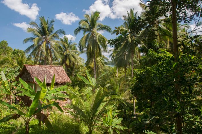 Landschaft bei Pawalan auf den Philippinen
