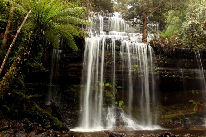 Russel Falls auf Tasmanien
