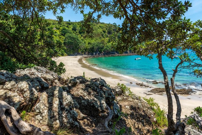 Strand auf Waiheke Island