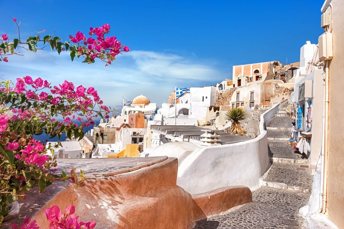 In Oia, Santorin, leuchten weiße und beige Gebäude, teils mit Kuppeln, unter strahlend blauem Himmel. Pink blühender Oleander links, gepflasterte Straße schlängelt sich durch das Dorf.