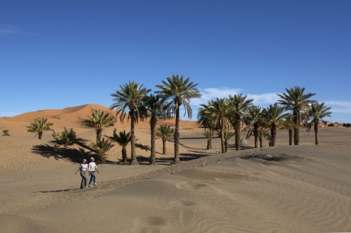 Palmen stehen in einer Wüste mit wellenförmigen Sanddünen unter klarem, blauem Himmel. Zwei Personen gehen nebeneinander links im Bild, während orangefarbene Dünen den Hintergrund bilden.