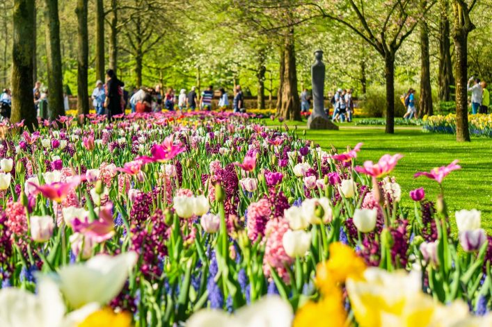 Besucher im Keukenhof in Lisse