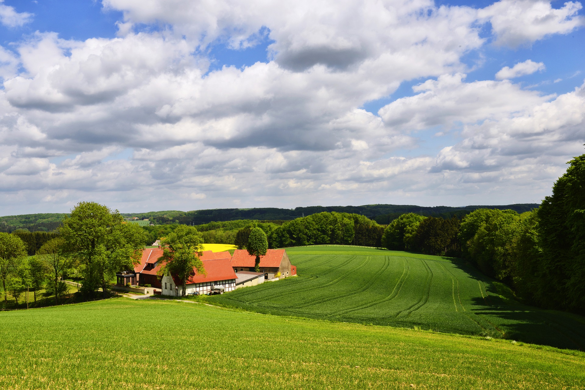 Die Borgloher Schweiz überzeugt mit einer wunderschönen Hügellandschaft und herrlichen Wanderwegen.