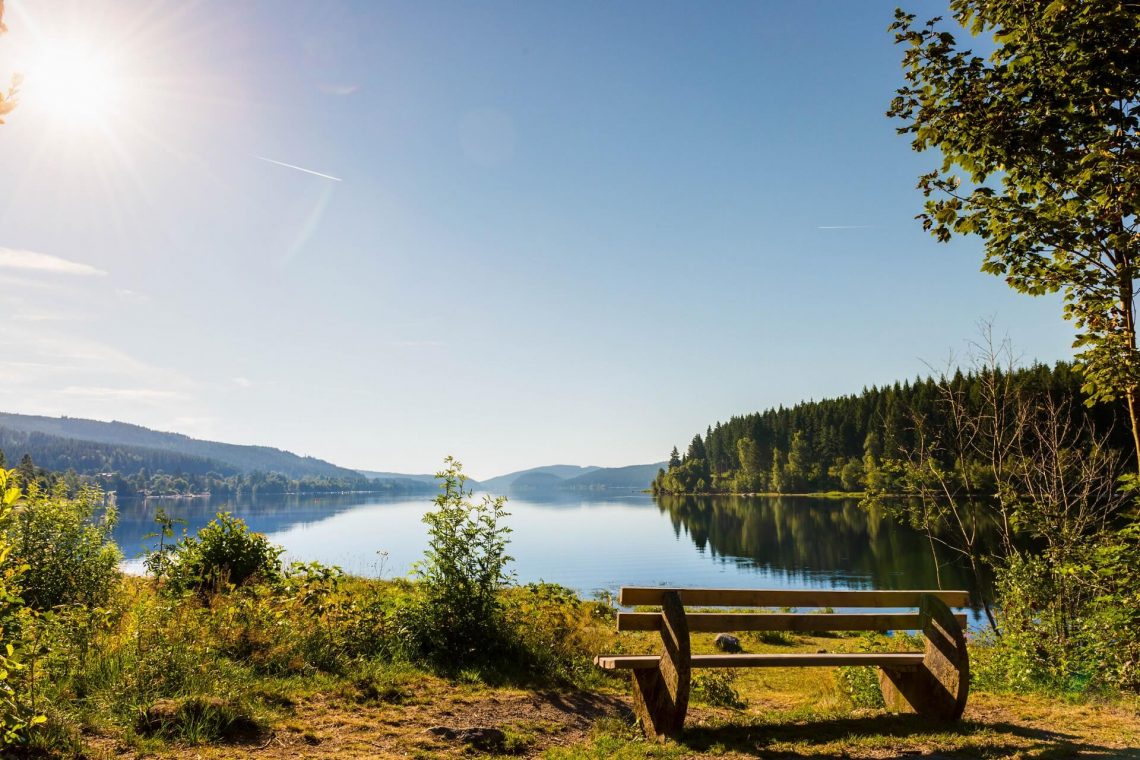 Blick auf den schönen Schluchsee im Schwarzwald