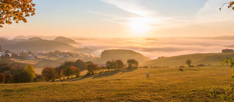 Rothaarsteig Ausblick