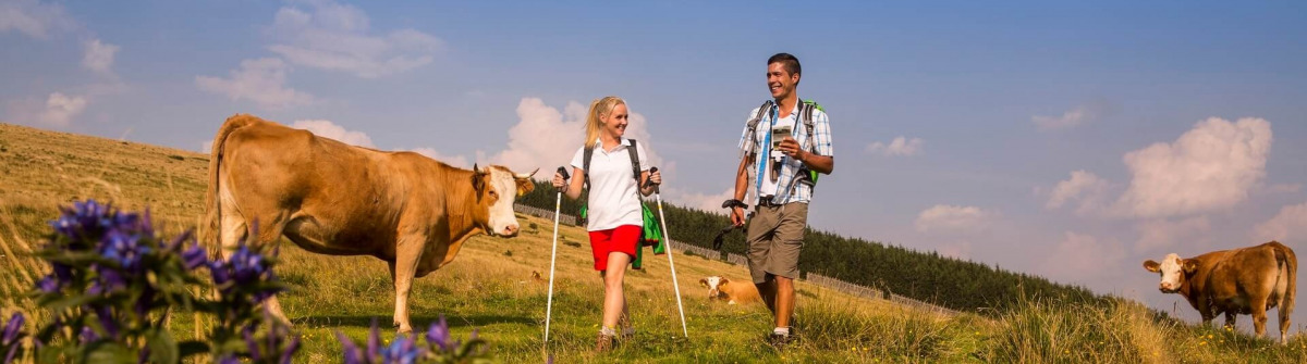 Wandern auf der Alm in Oststeiermark