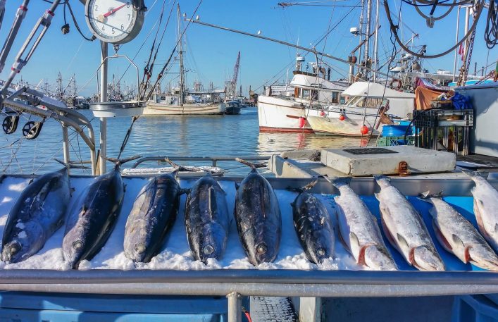 Fischmarkt in Richmond in British Columbia