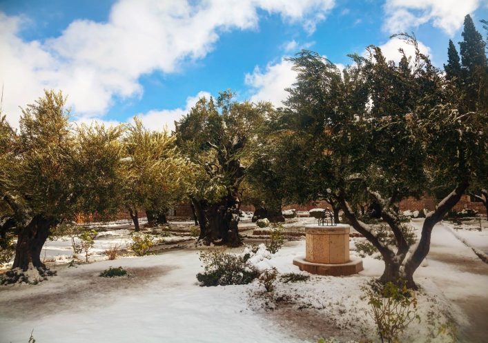 Gethsemane-Garten-in-Jerusalem-iStock-525001757