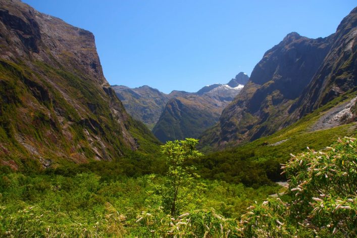 Fiordland Nationalpark in Neuseeland