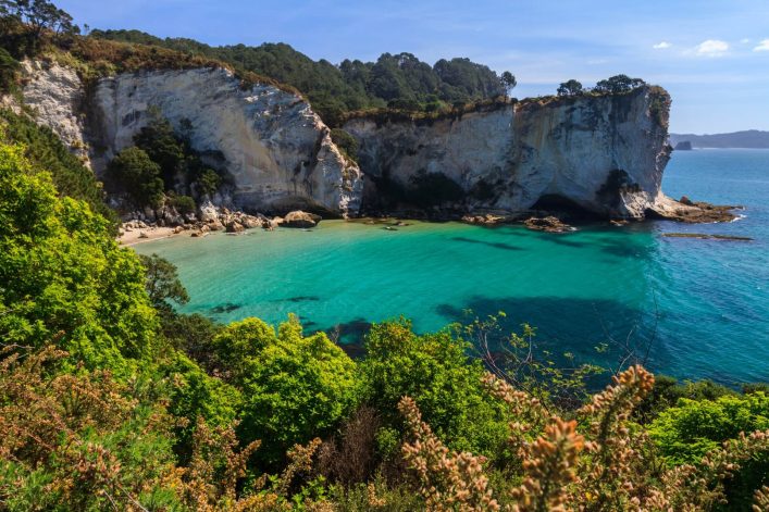 Mares Leg Cove auf der Coromandel Halbinsel