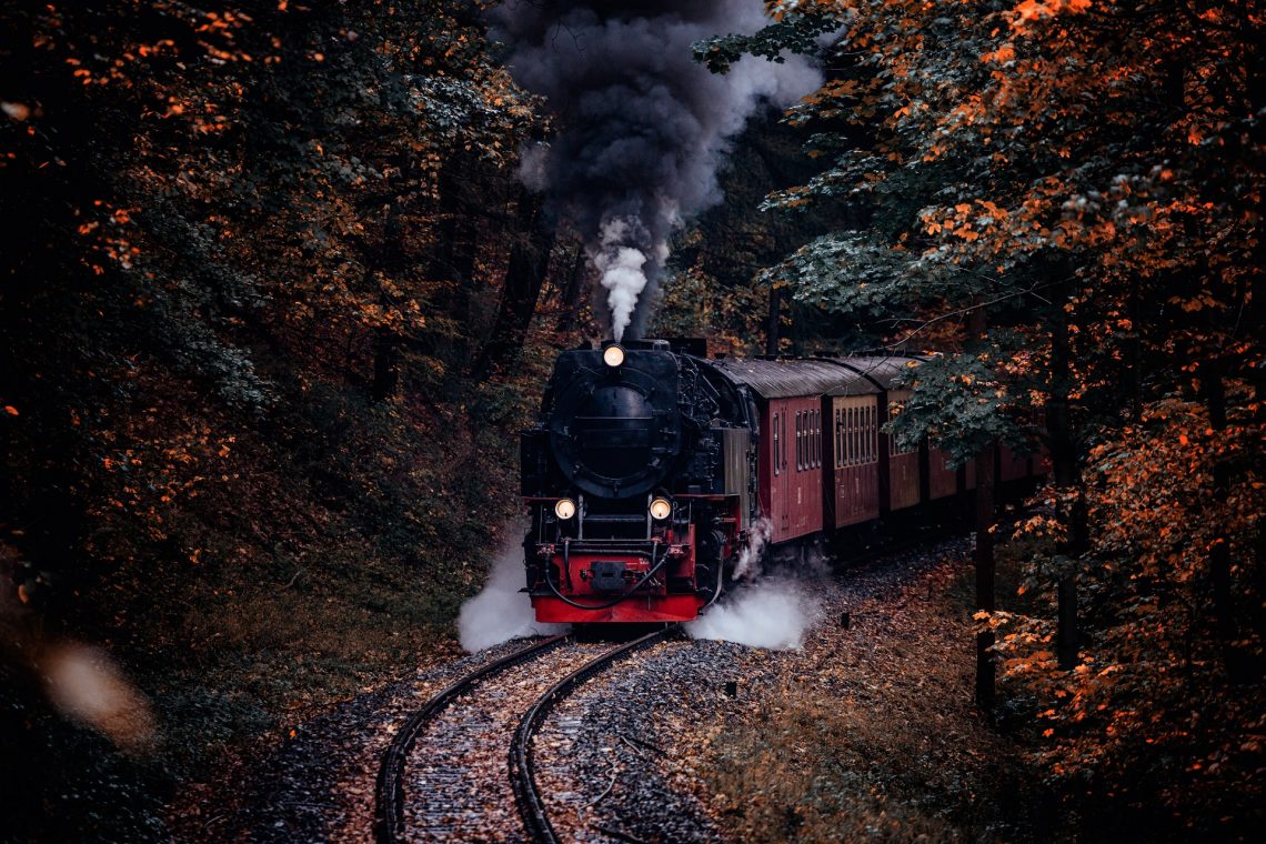 Die Schmalspurbahn im Harz