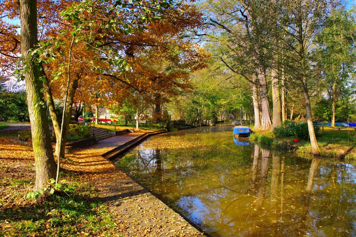 Herbst im Spreewald