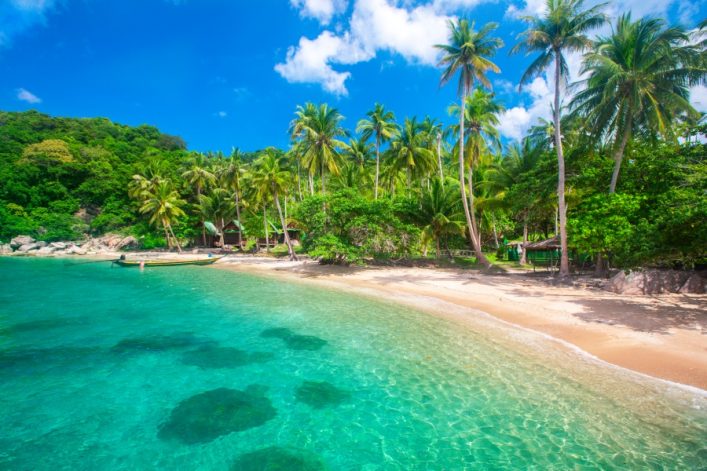 Türkisfarbenes Meer, feiner Sandstrand und Schatten spendende Palmen vor dichtem Dschungel auf Koh Tao, Thailand. Klarer blauer Himmel oben.