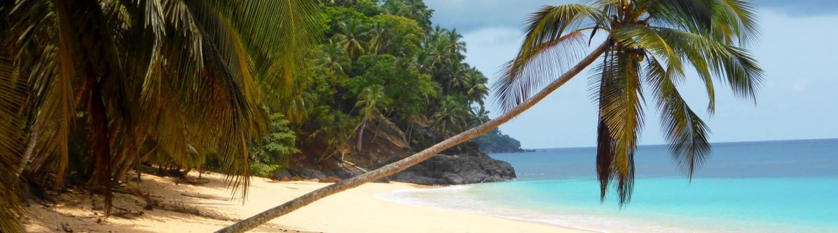 Eine Palme neigt sich über den goldenen Sandstrand auf São Tomé und Príncipe.