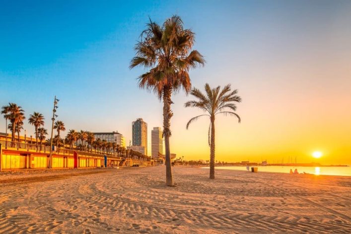 Sonnenuntergang am Strand von Barceloneta in Barcelona. Im Vordergrund Palmen, dahinter hohe Gebäude, links Palmenreihe entlang einer Promenade, rechts das Meer.