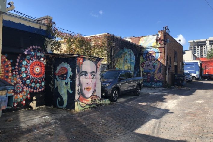 Bunte-Haeuser-mit-Streetart-in-St.-Pete.