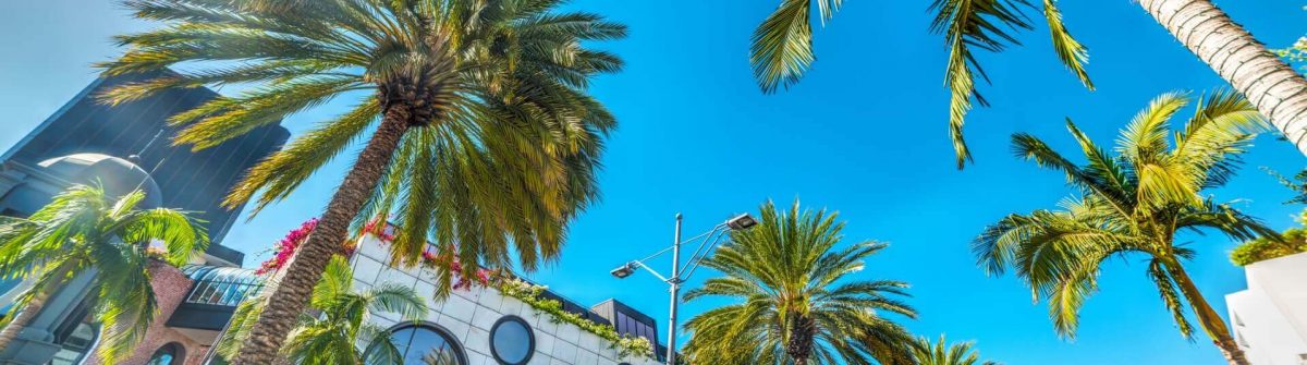 Rodeo Drive in Los Angeles