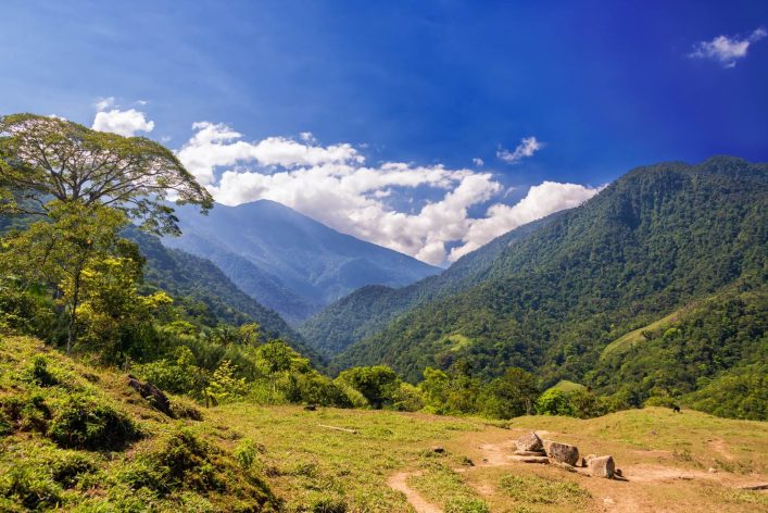 Berglandschaft in der Sierra Nevada de Santa Marta, Kolumbien. Im Vordergrund grüne Wiesen, mittig dichte Wälder. Links ein großer Baum, im Hintergrund majestätische Berggipfel unter blauem Himmel.