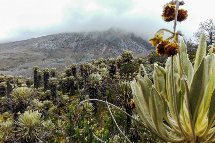 Sierra Nevada del Cocuy in Kolumbien