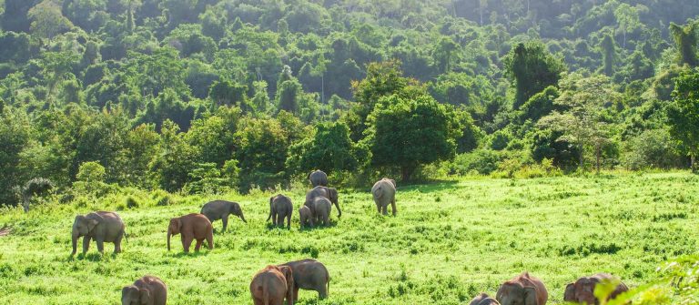 Der Kui Buri Nationalpark in Thailand