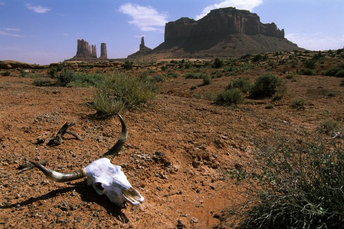 Der Wilde Westen der USA