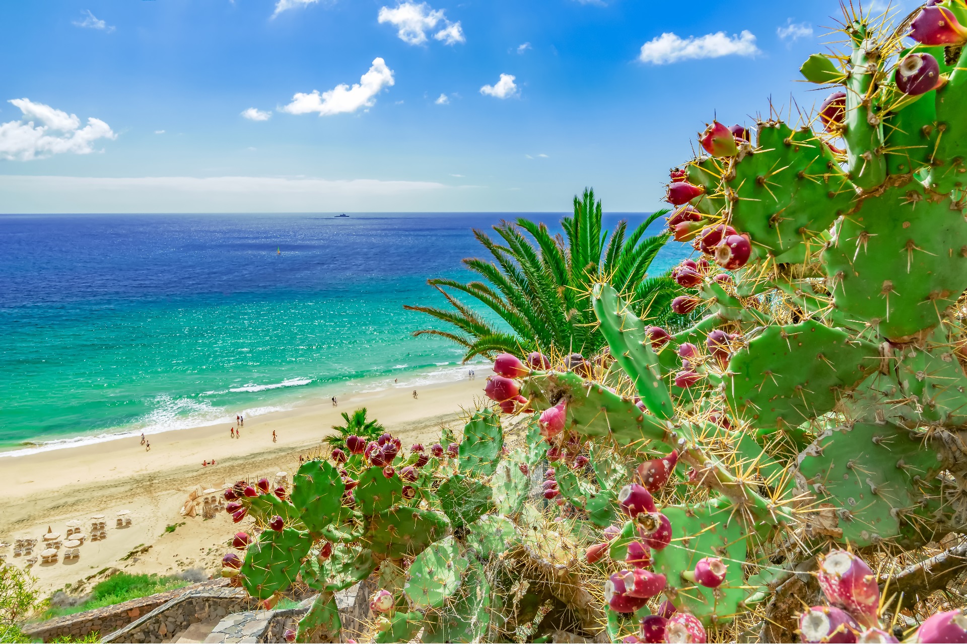 Temperaturen Fuerteventura Im Oktober Beste Reisezeit Fuerteventura 2025 - Infos zu Klima, Wetter & Temperaturen