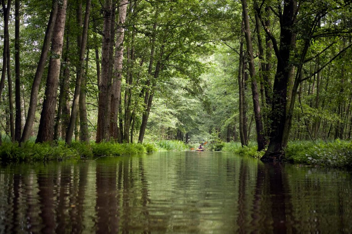 Eine Landschaft im Spreewald