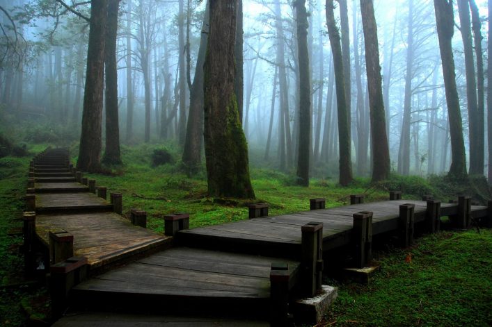 Der Alishan Nationalpark.