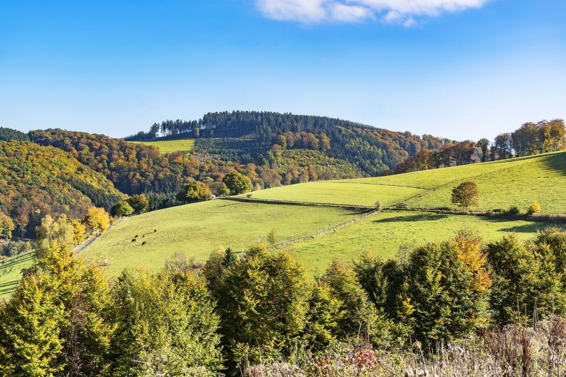 Sauerland