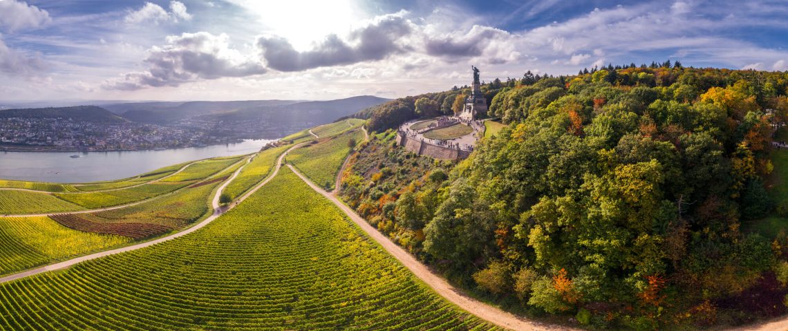 Aussicht über die Weinberge am Rhein und das Niederwalddenkmal im Rheingau.
