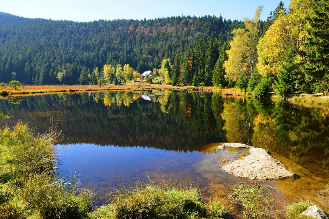 Kleiner Arbersee im Bayerischen Wald