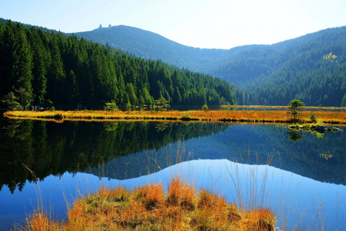 Kleiner Arbersee und schwimmende Inseln im Bayerischen Wald.