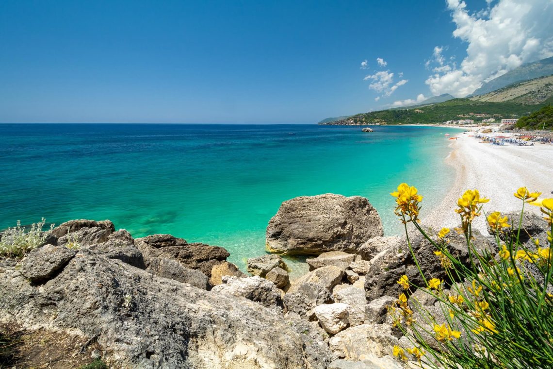 Am Livadhi Beach in Himare leuchtet türkisblaues, kristallklares Wasser vor felsiger Küste. Gelbe Blumen blühen im Vordergrund, während sich am Horizont ein klarer Himmel erstreckt.