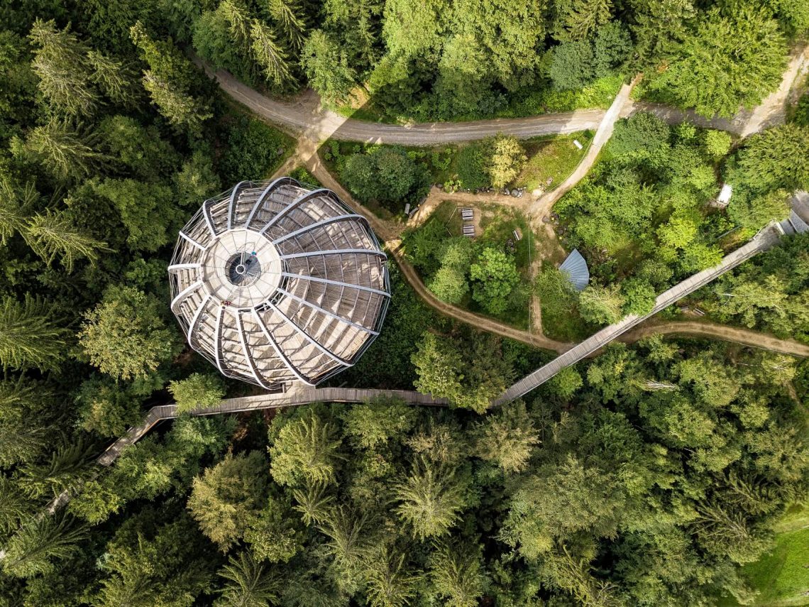 Baumwipfelpfad im Nationalpark im Bayerischen Wald.