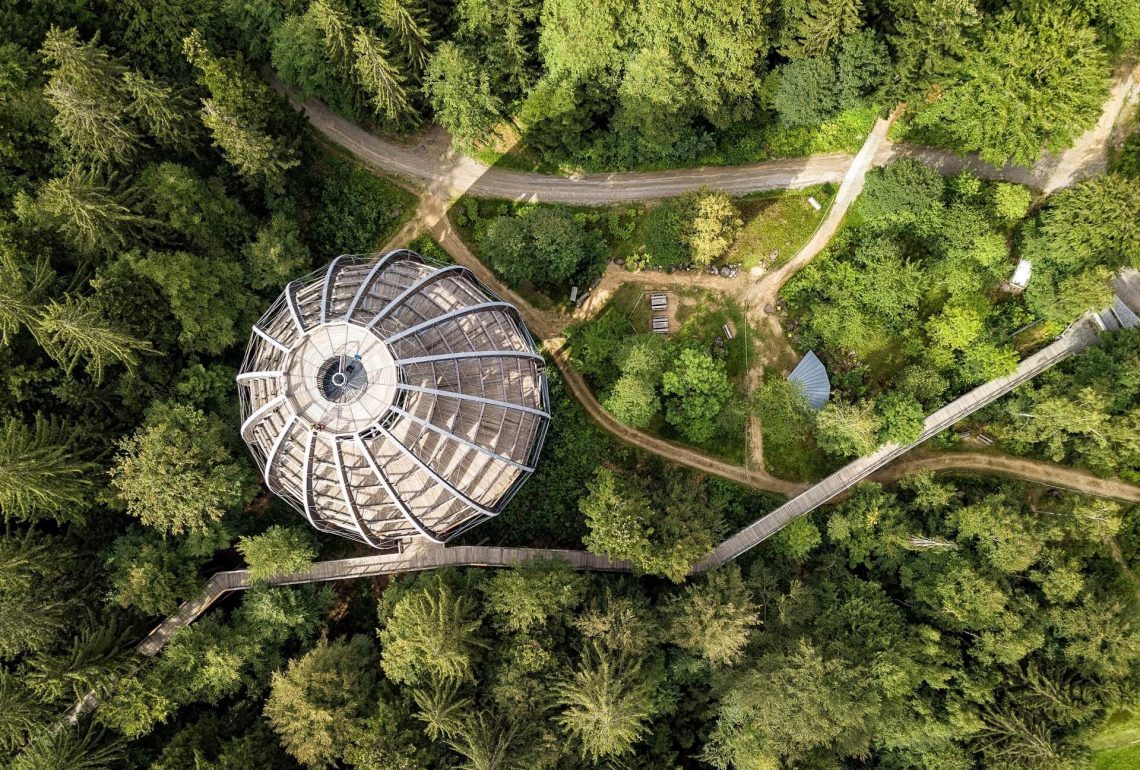 Baumwipfelpfad Bayerischer Wald