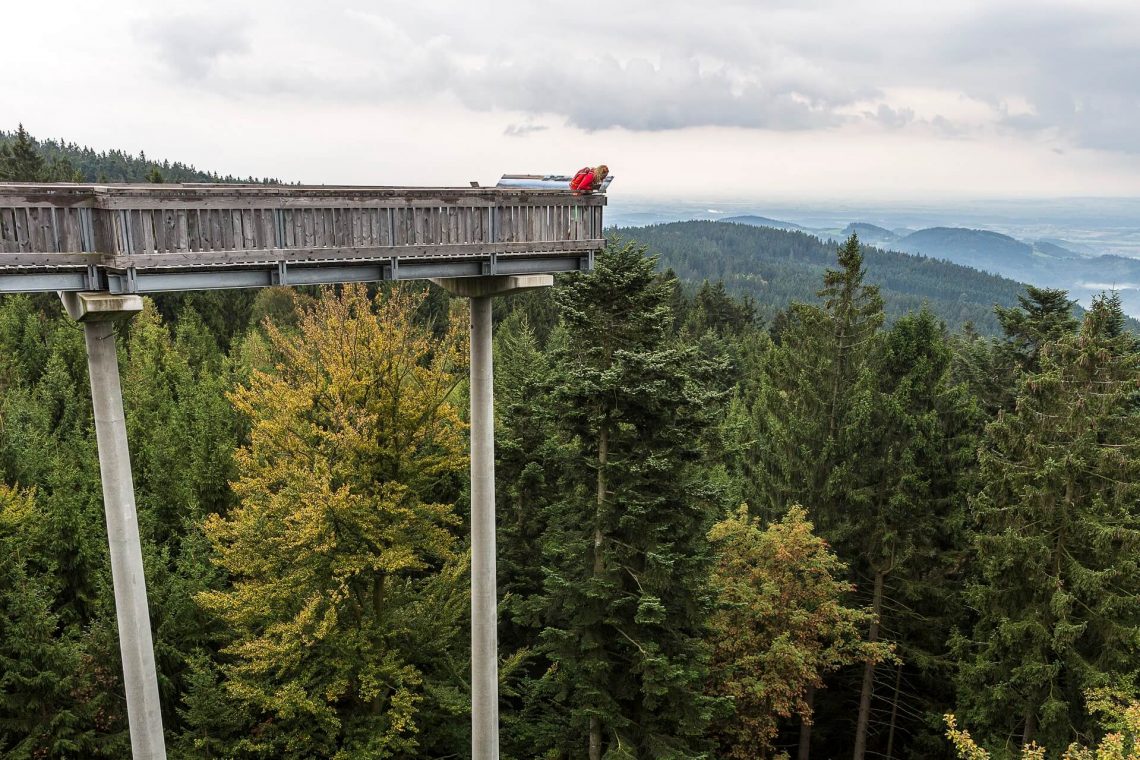 Aussicht vom Waldwipfelweg in Sankt Englmar im Bayerischen Wald.