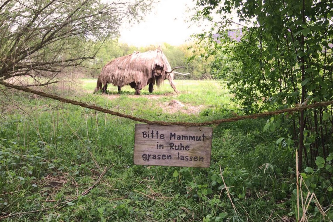 Holzfiguren wie das Mammut findet man im Wildgarten in Furt im Wald im Bayerischen Wald.